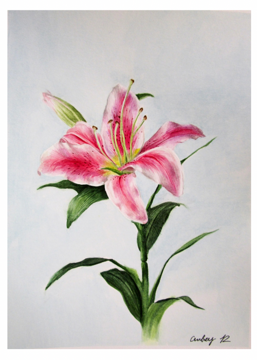 “Lilly” print