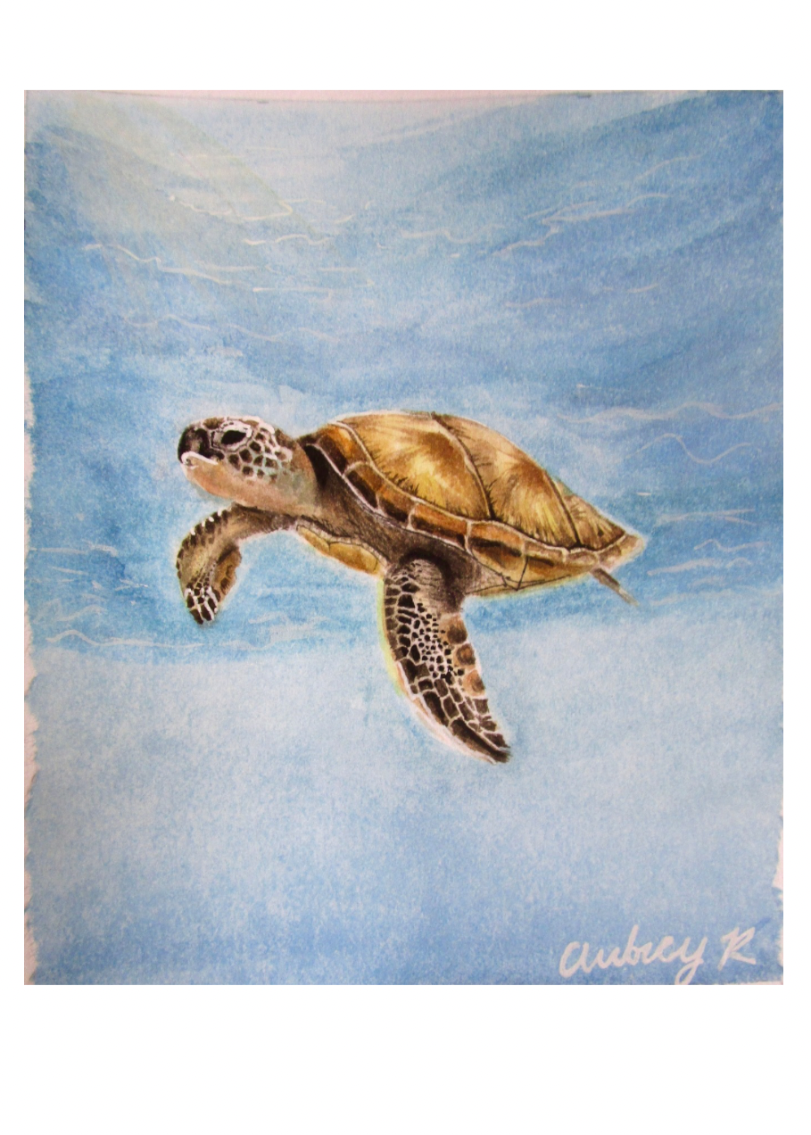 “Sea Turtle” print