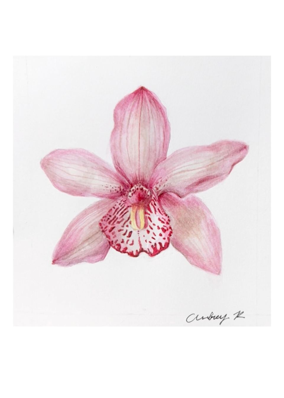 “Orchid” print